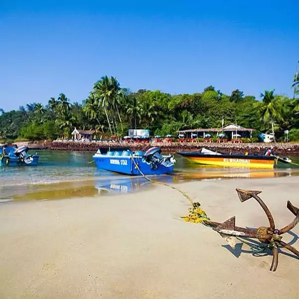 Find Arya Samaj Pandit Ji In goa